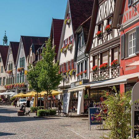 Cheerful Apartment Near City Centre Of Haslach Haslach im Kinzigtal Esterno foto