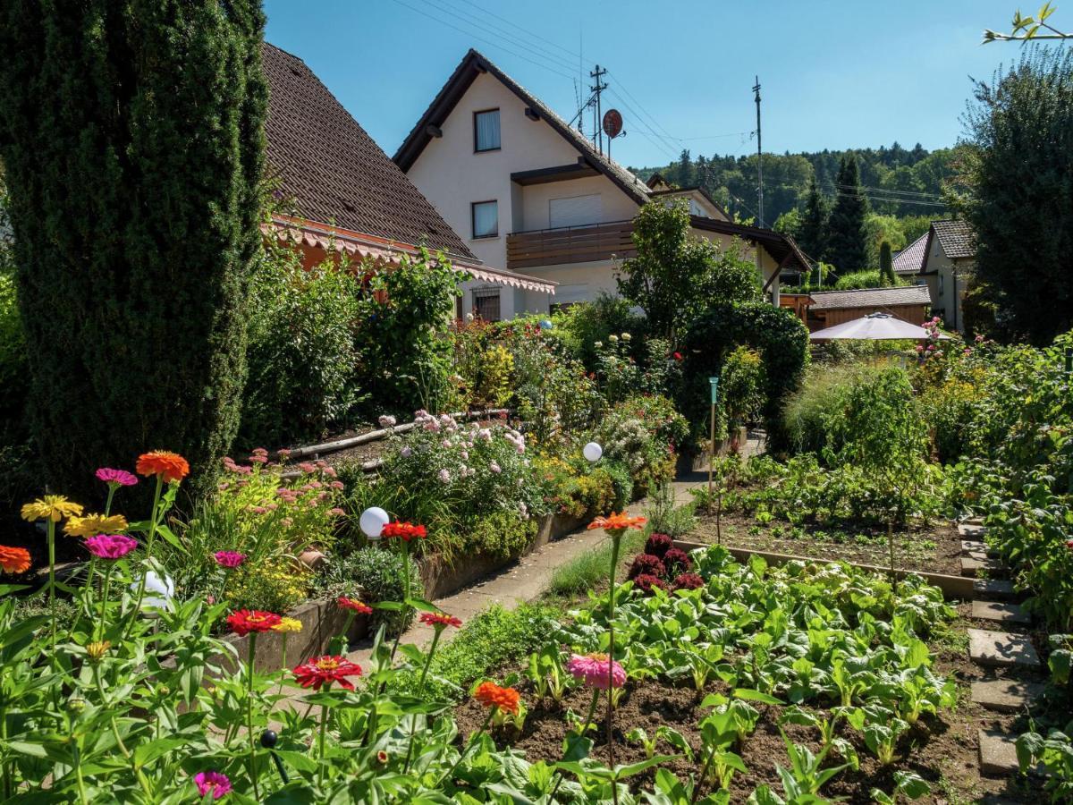 Cheerful Apartment Near City Centre Of Haslach Haslach im Kinzigtal Esterno foto