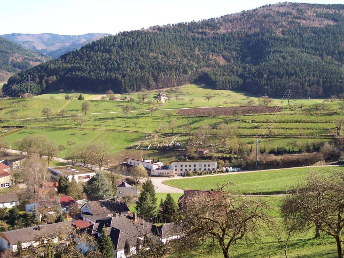 Cheerful Apartment Near City Centre Of Haslach Haslach im Kinzigtal Esterno foto
